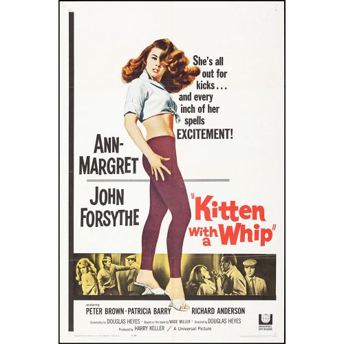 Vintage Movie Poster 'Kitten with a Whip', 1964 Starring Ann-Margret, John Forsythe and Peter Brown