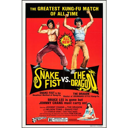 Vintage Movie Poster 'Snake Fist vs. The Dragon', 1979 Starring John Cheung and Yao Lin Chen